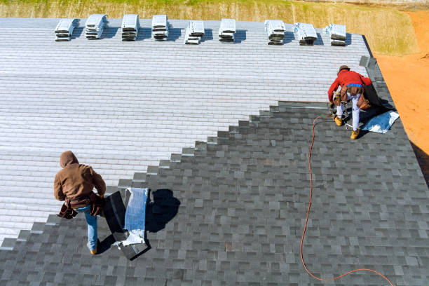 Best Metal Roofing Installation  in Statesboro, GA